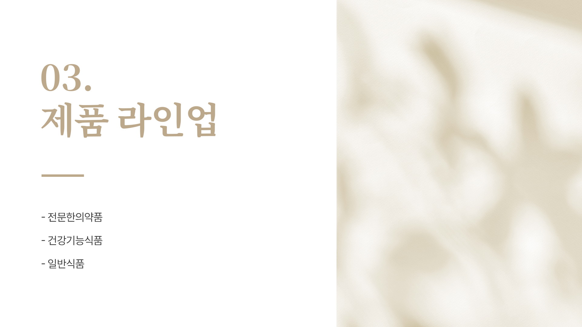 이미지 12