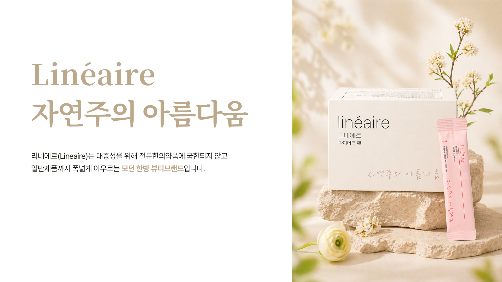 이미지 08
